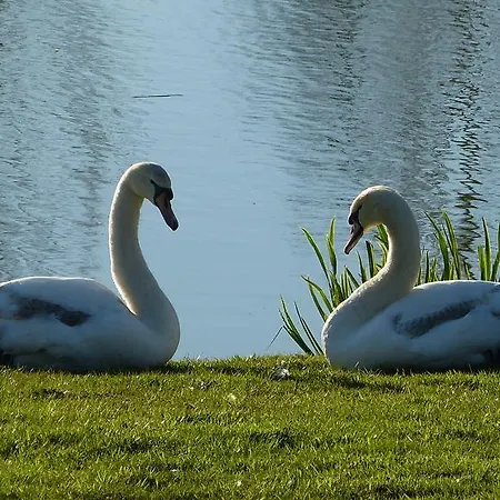 Dom wakacyjny La Boulangerie *