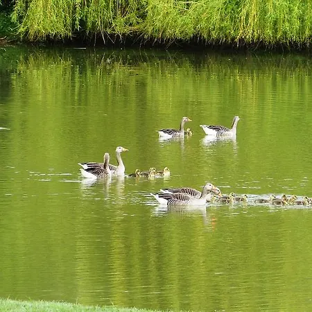 La Boulangerie Genêts