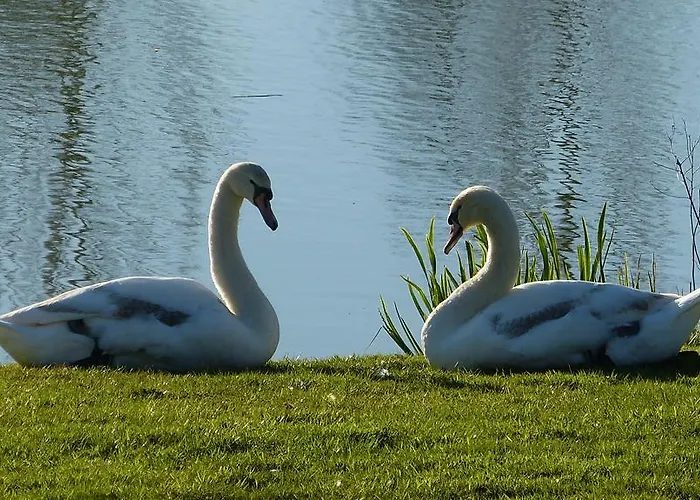 Σπίτι διακοπών La Boulangerie *