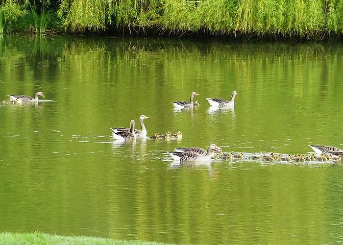 La Boulangerie Genêts